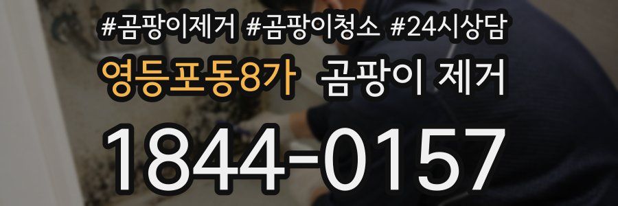 영등포동8가 곰팡이 제거