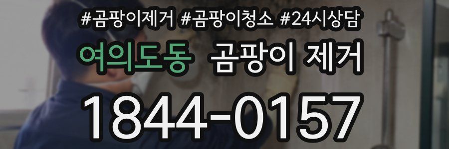 여의도동 곰팡이 제거
