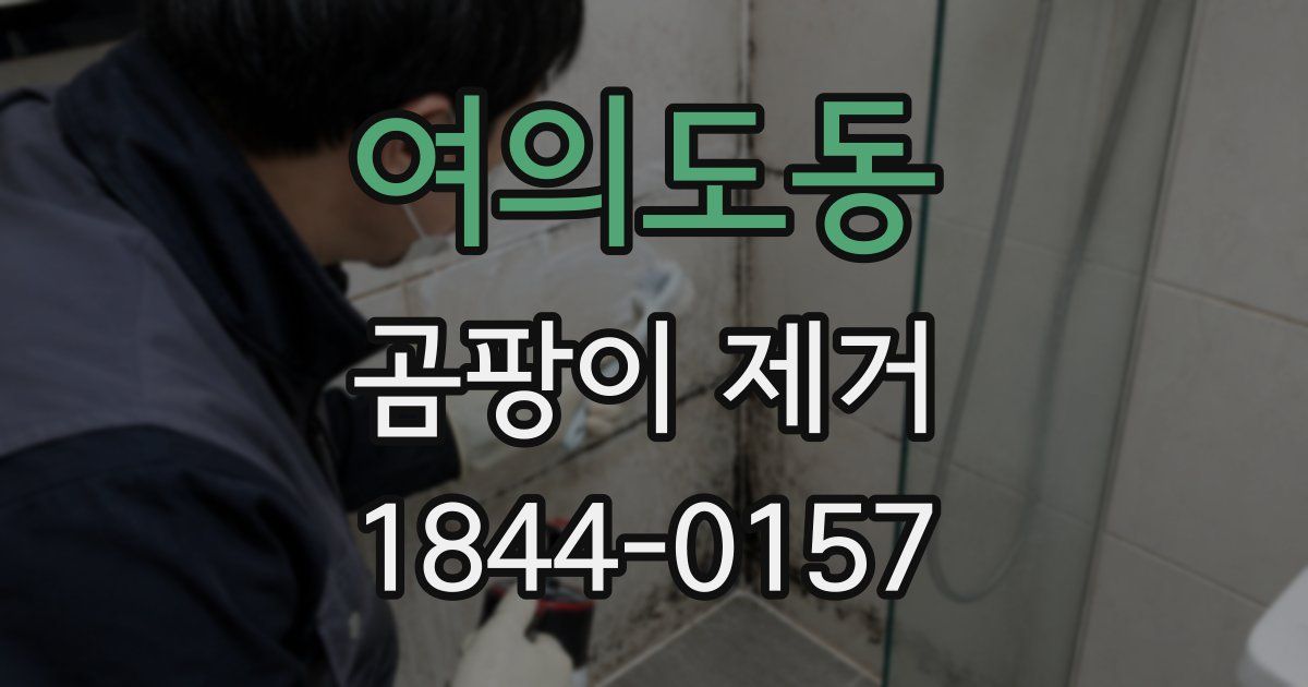 여의도동 곰팡이 제거