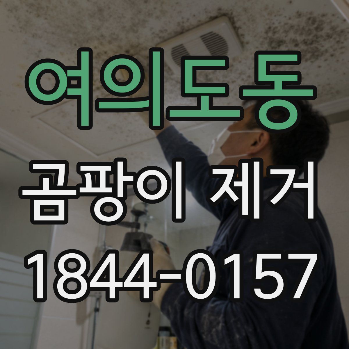 여의도동 곰팡이 제거