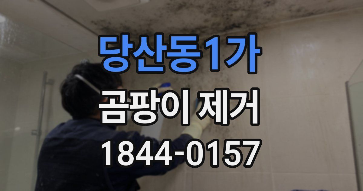 당산동1가 곰팡이 제거