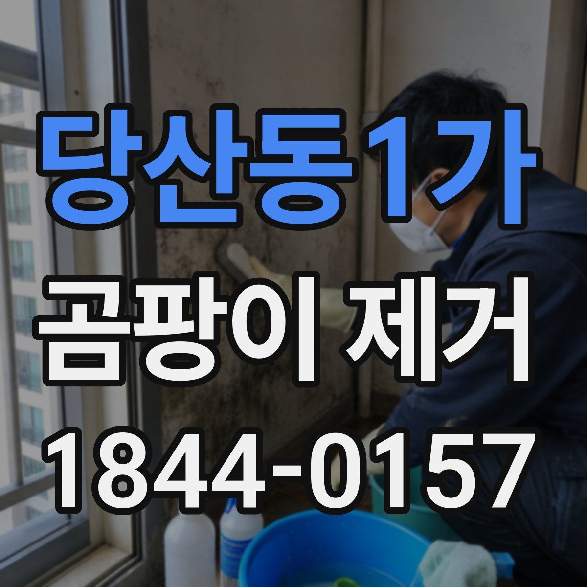 당산동1가 곰팡이 제거