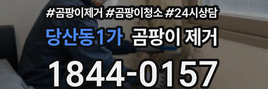 당산동1가 곰팡이 제거