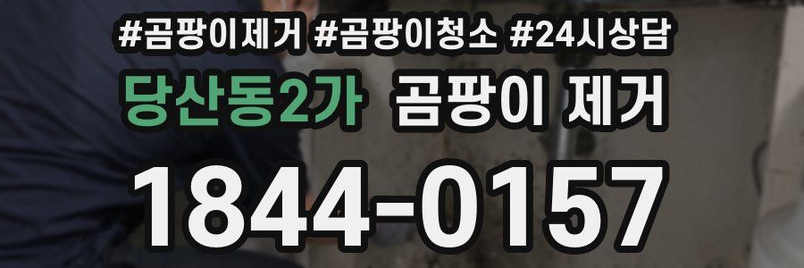 당산동2가 곰팡이 제거