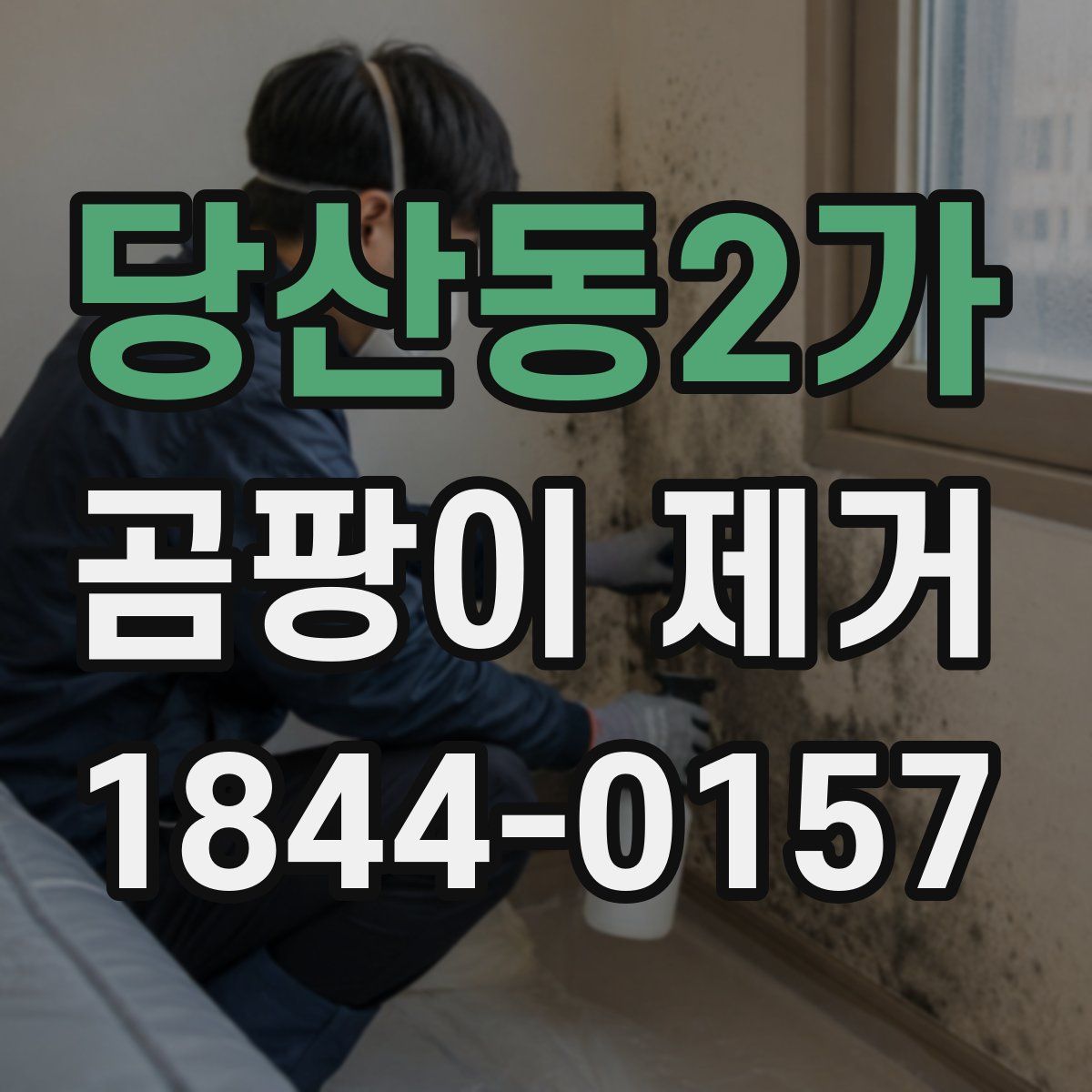 당산동2가 곰팡이 제거