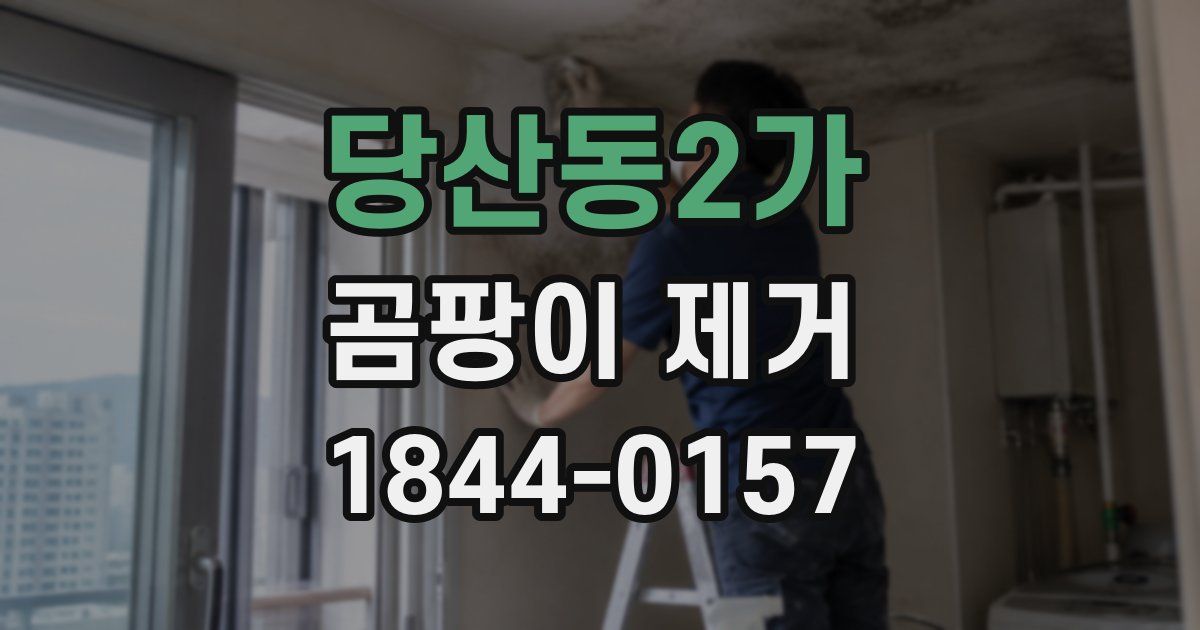 당산동2가 곰팡이 제거