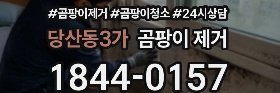 당산동3가 곰팡이 제거