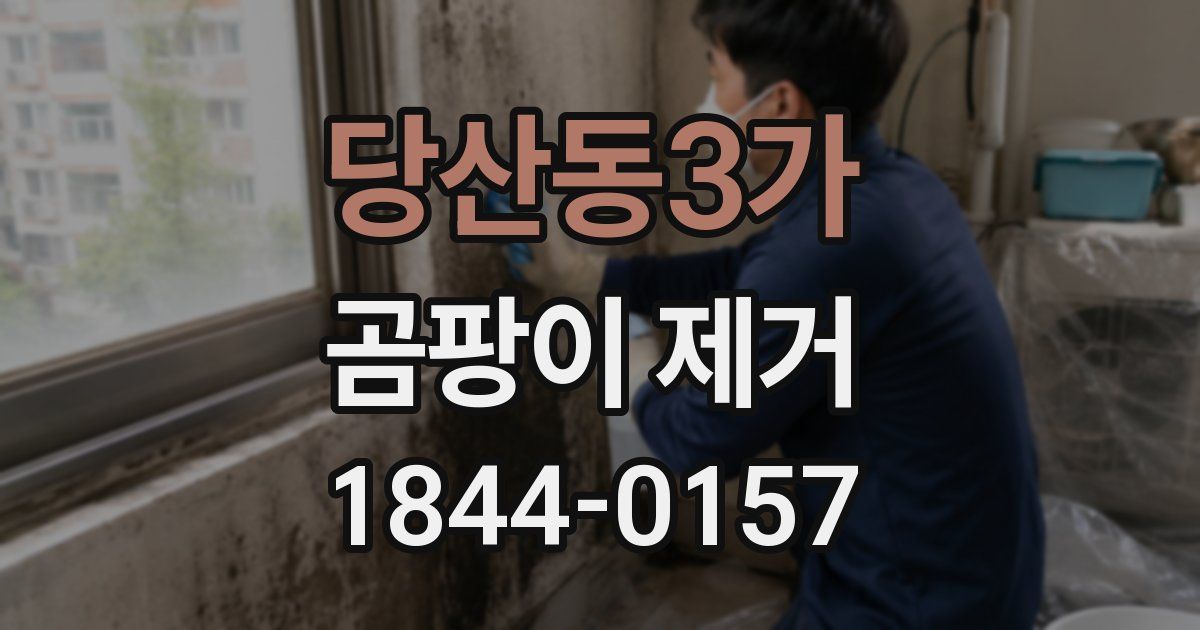 당산동3가 곰팡이 제거