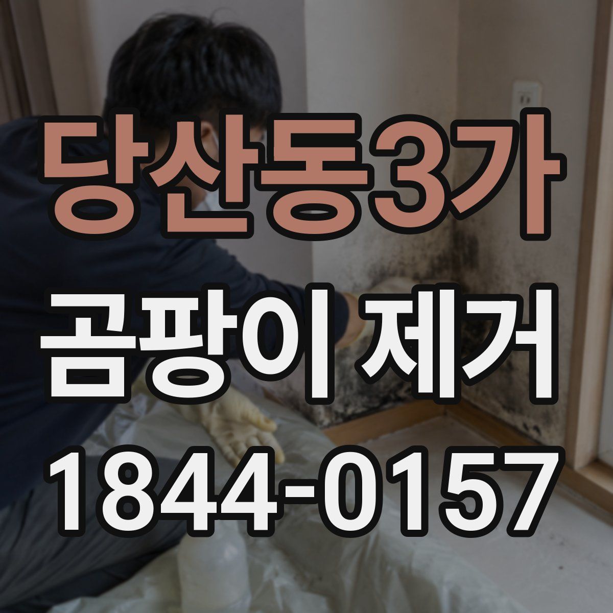 당산동3가 곰팡이 제거