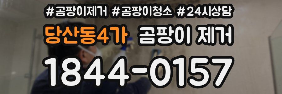 당산동4가 곰팡이 제거