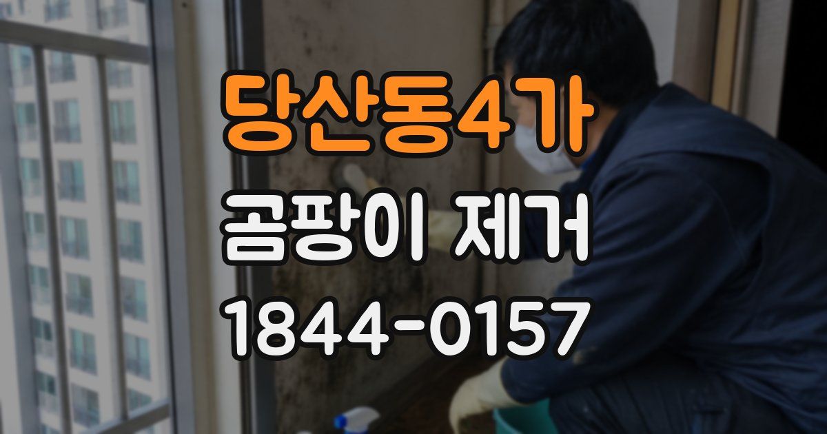 당산동4가 곰팡이 제거