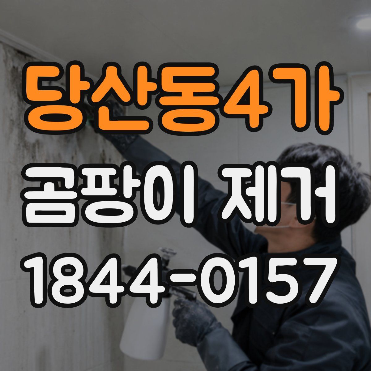 당산동4가 곰팡이 제거