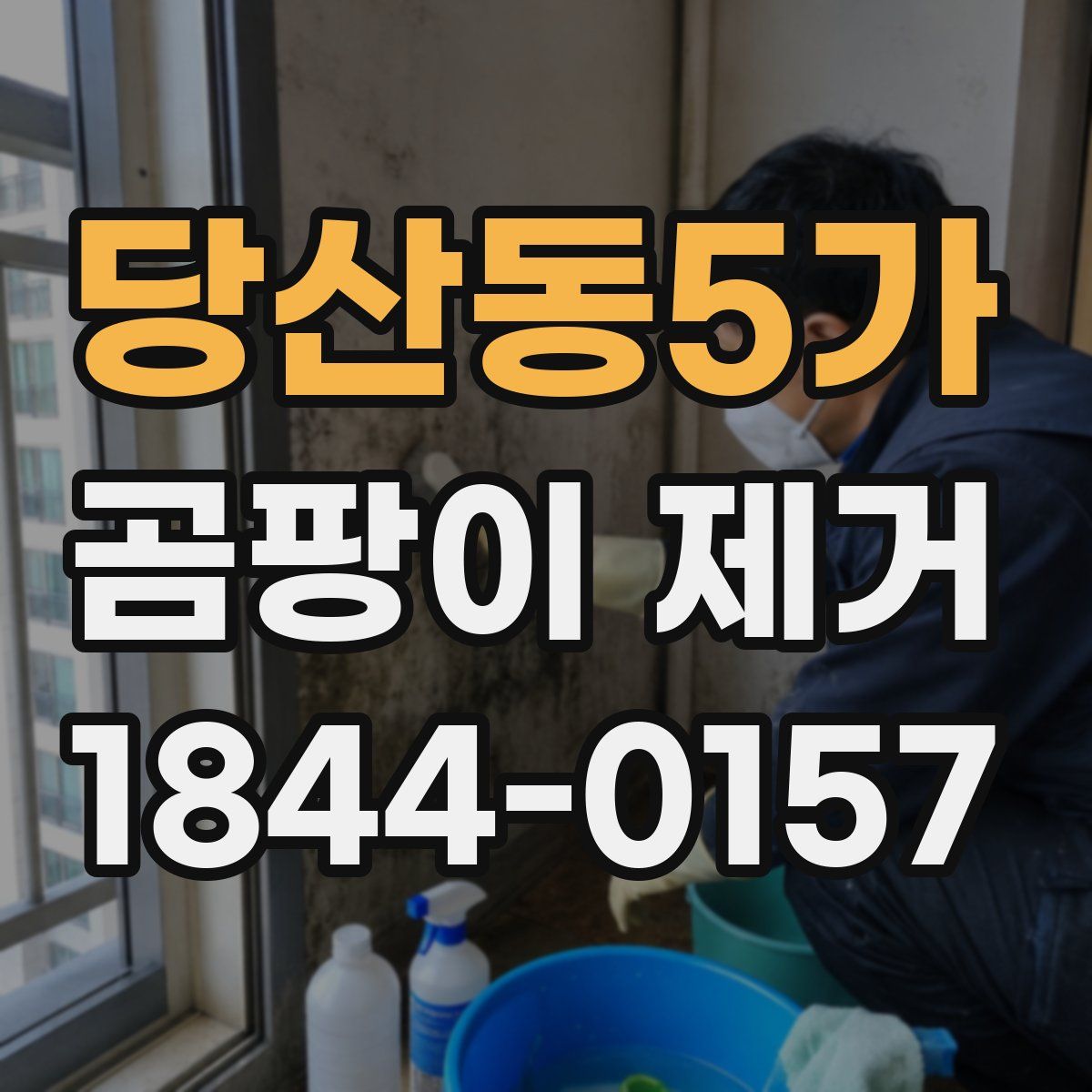 당산동5가 곰팡이 제거