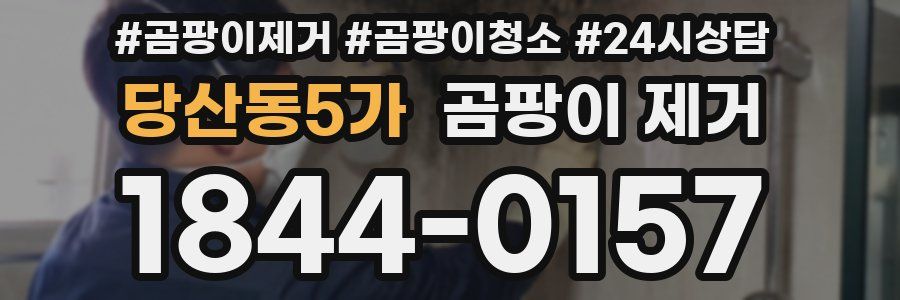 당산동5가 곰팡이 제거