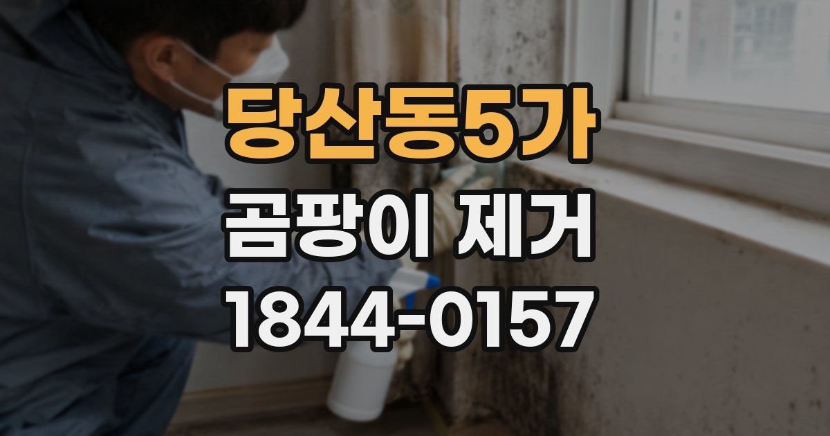 당산동5가 곰팡이 제거