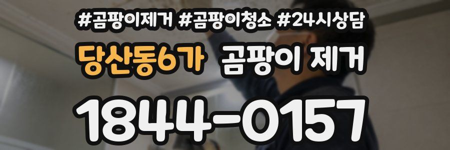 당산동6가 곰팡이 제거