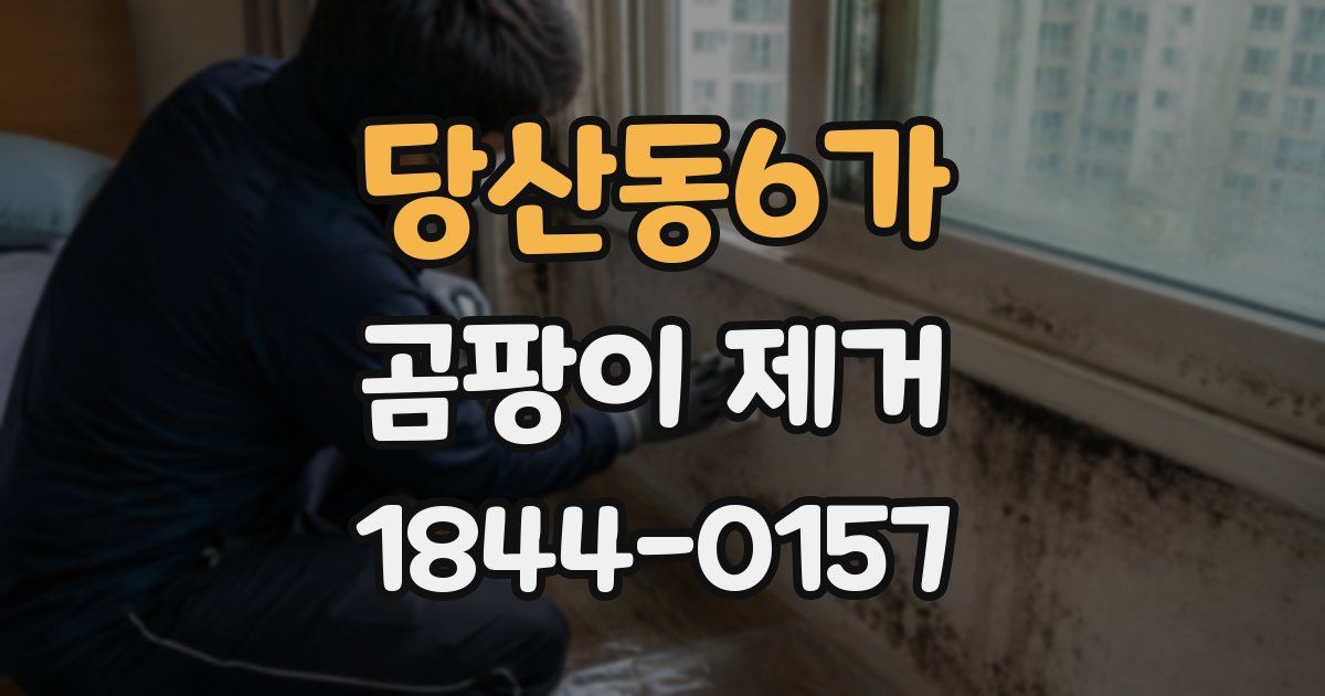 당산동6가 곰팡이 제거