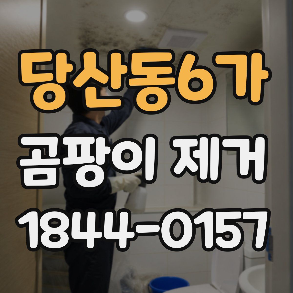 당산동6가 곰팡이 제거