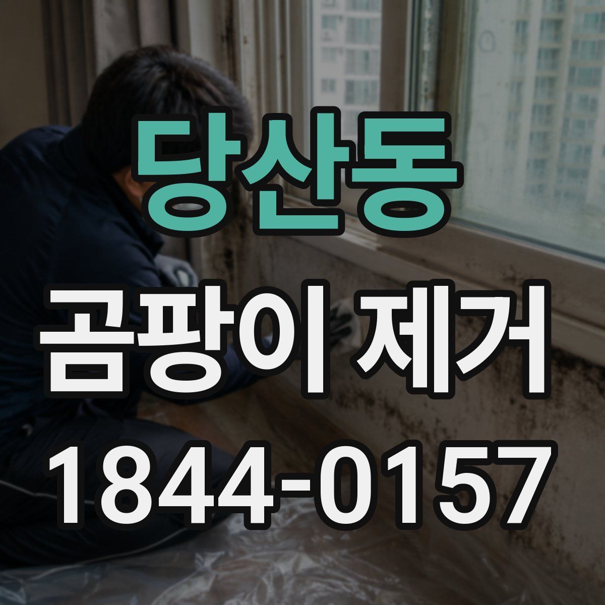 당산동 곰팡이 제거