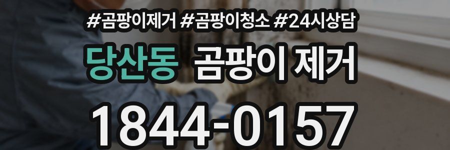 당산동 곰팡이 제거