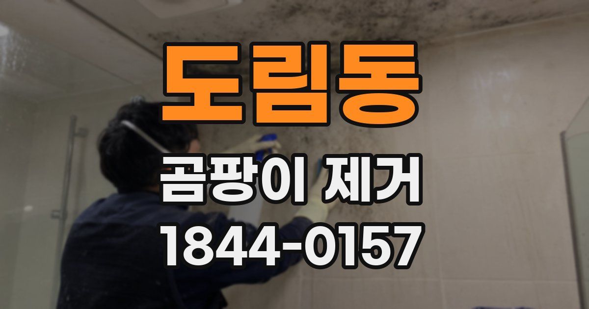 도림동 곰팡이 제거