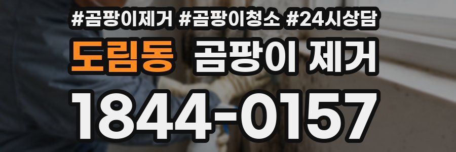 도림동 곰팡이 제거