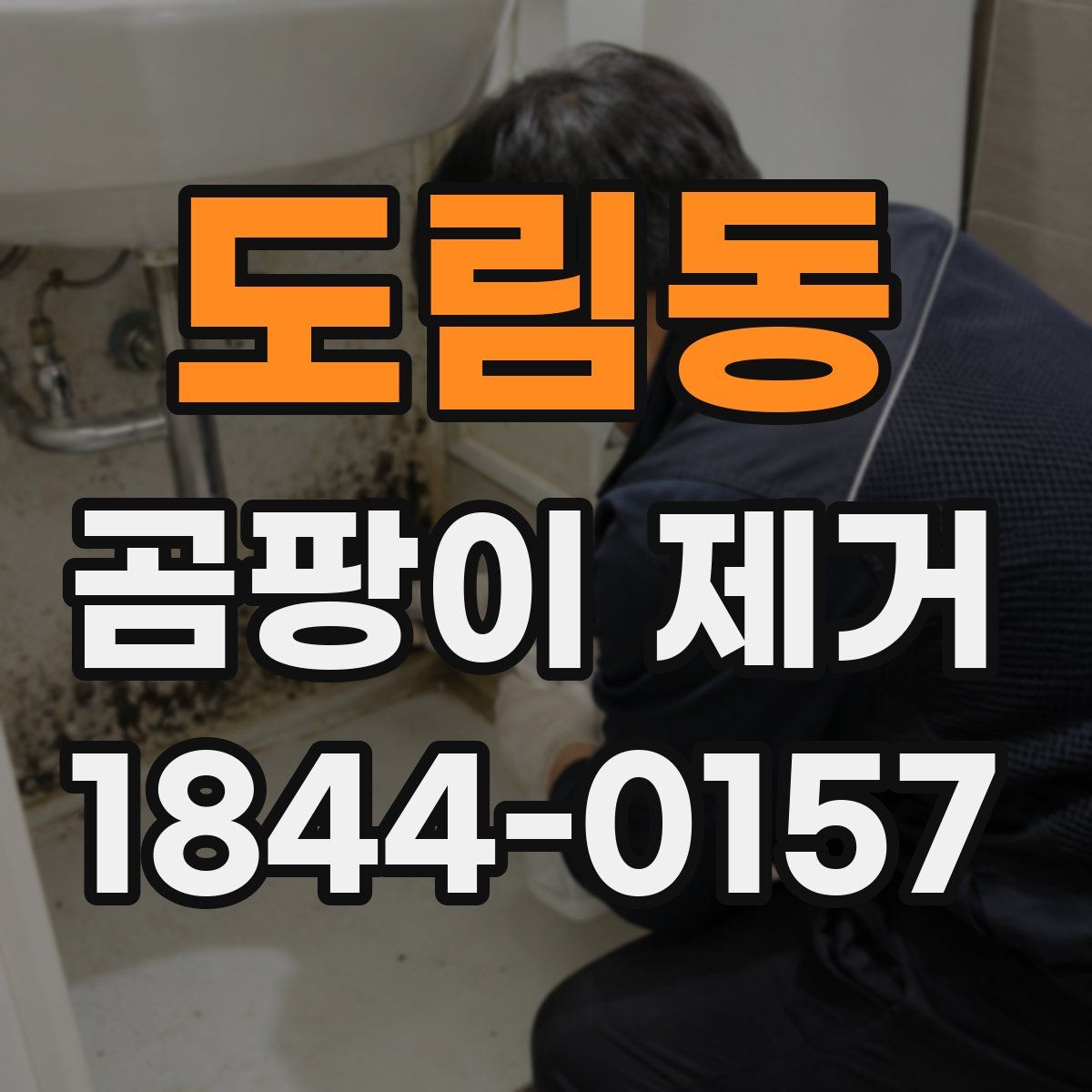 도림동 곰팡이 제거
