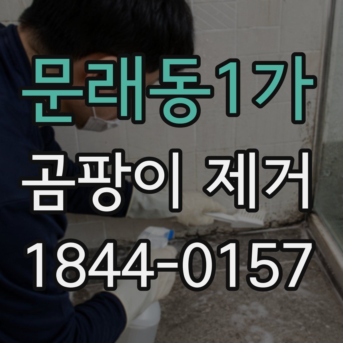 문래동1가 곰팡이 제거
