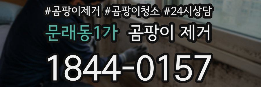 문래동1가 곰팡이 제거