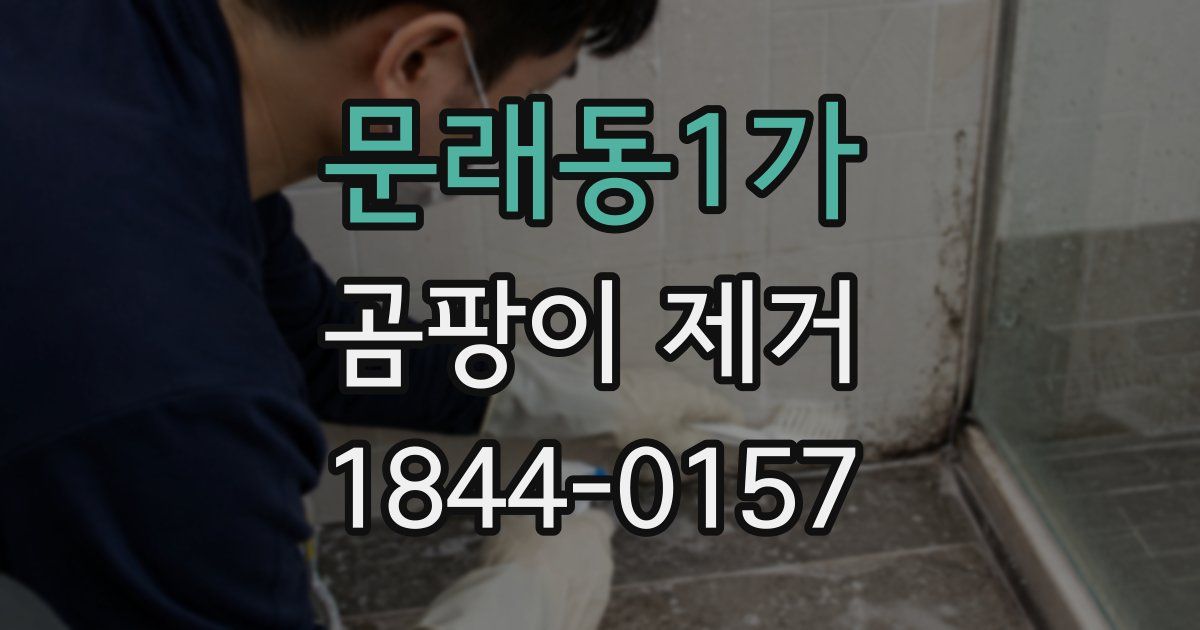 문래동1가 곰팡이 제거