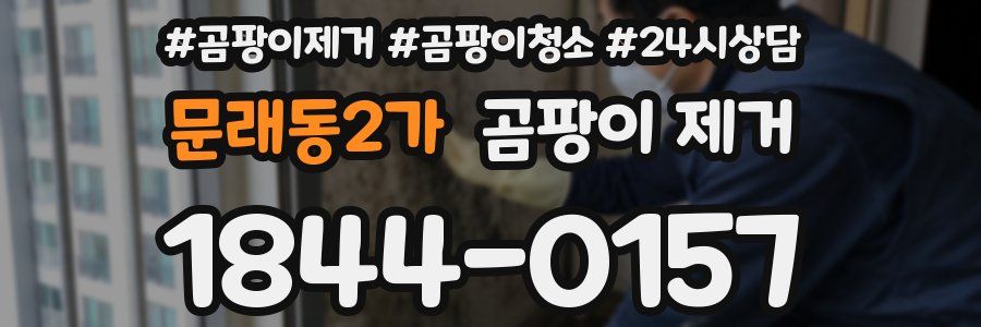 문래동2가 곰팡이 제거