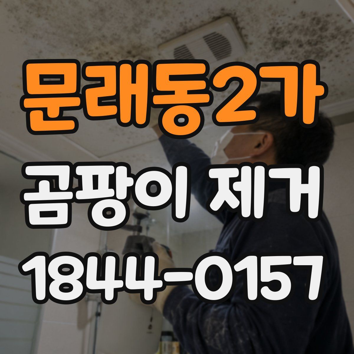 문래동2가 곰팡이 제거