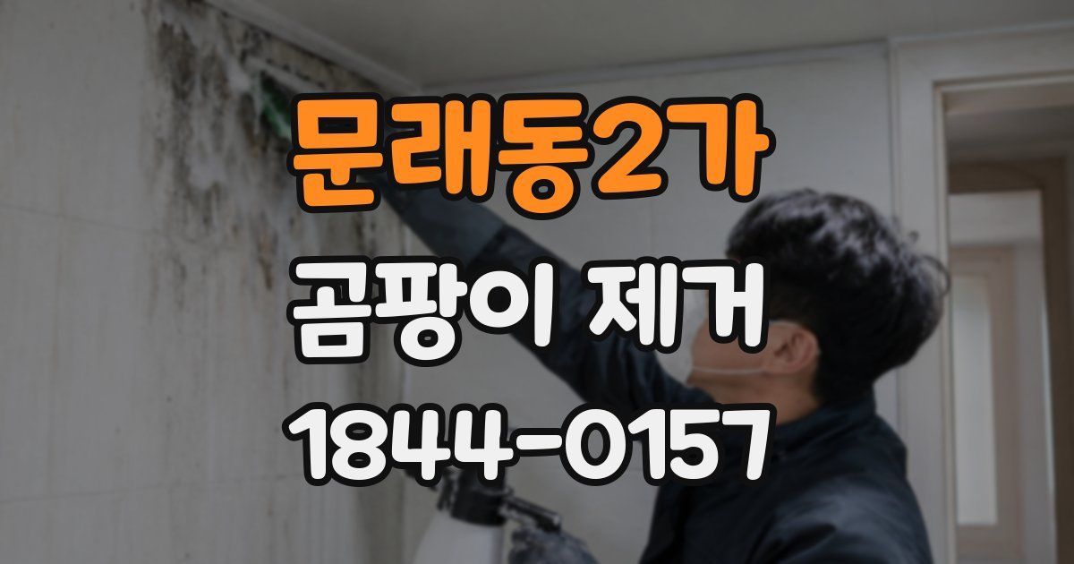 문래동2가 곰팡이 제거