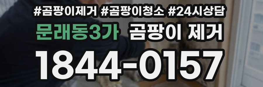 문래동3가 곰팡이 제거