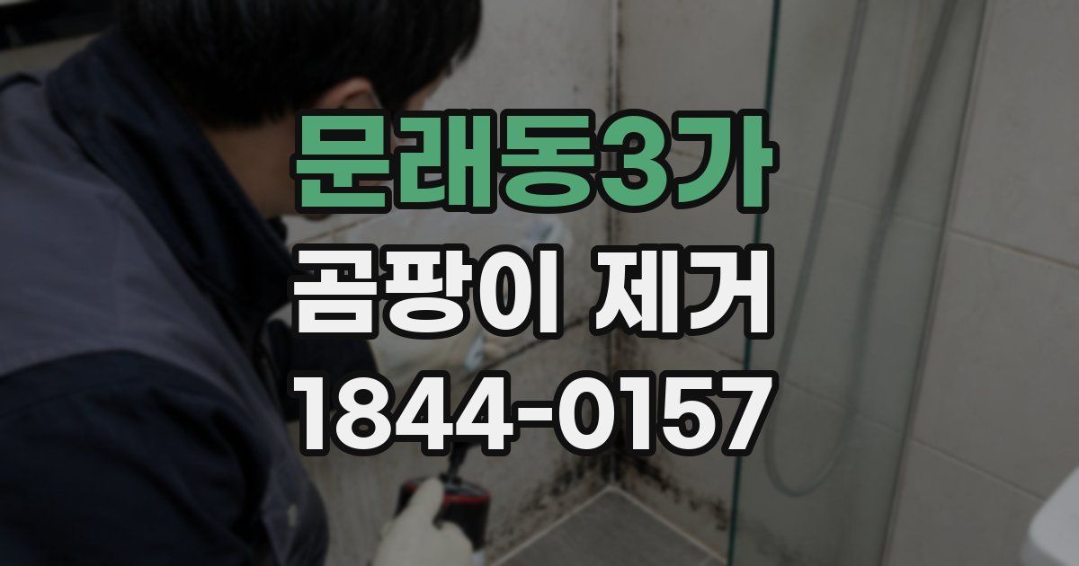 문래동3가 곰팡이 제거