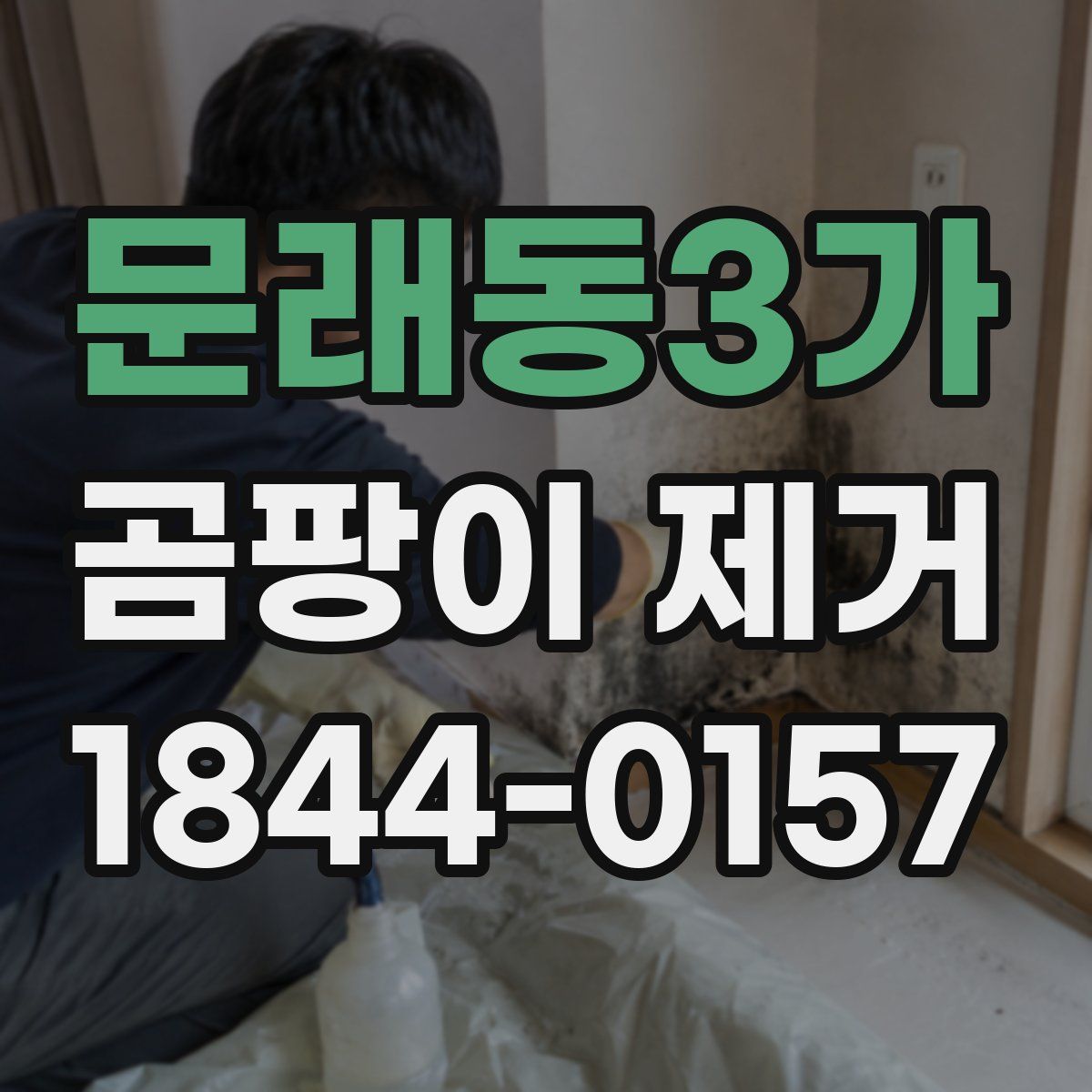 문래동3가 곰팡이 제거