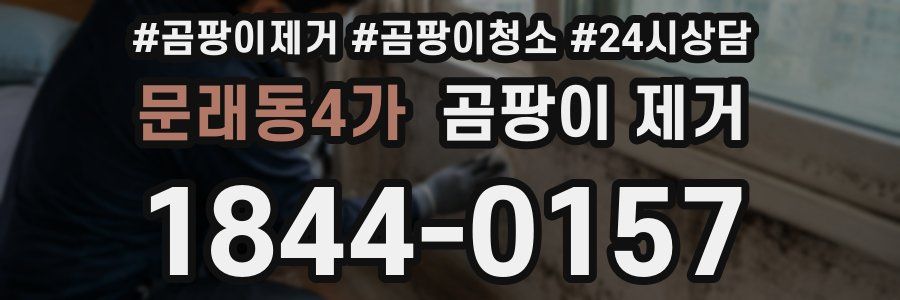 문래동4가 곰팡이 제거