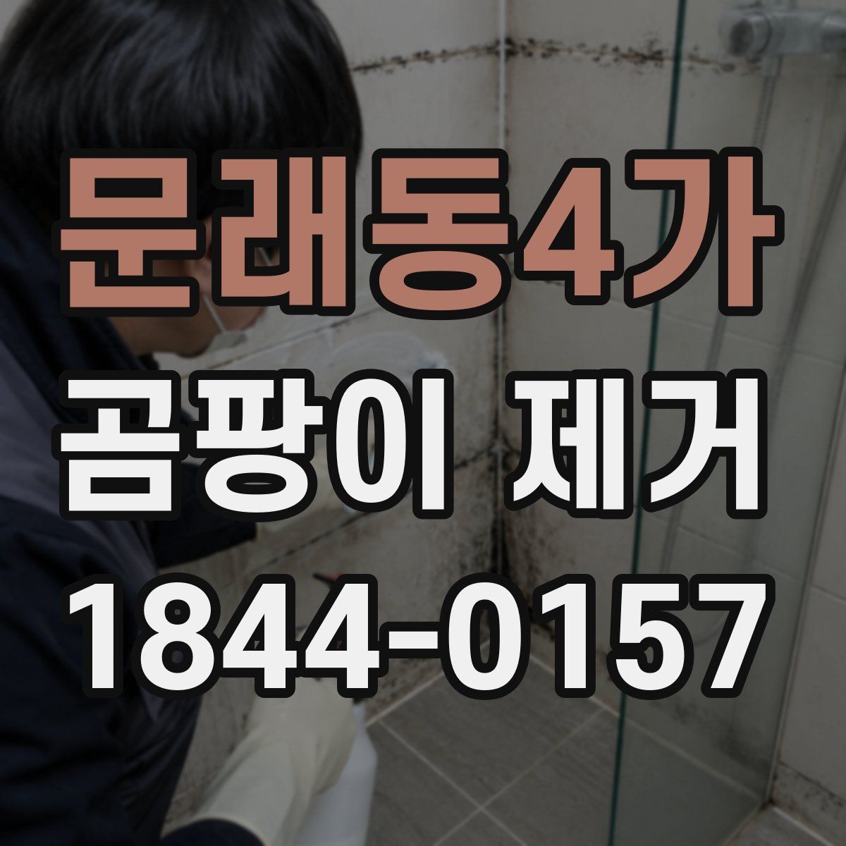문래동4가 곰팡이 제거