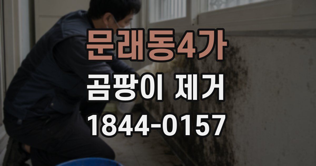 문래동4가 곰팡이 제거