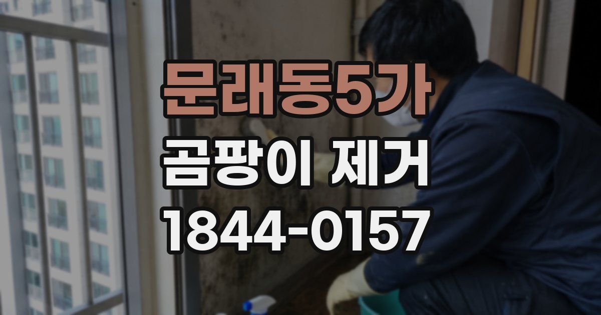 문래동5가 곰팡이 제거