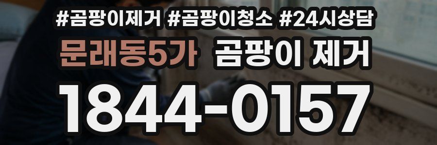 문래동5가 곰팡이 제거