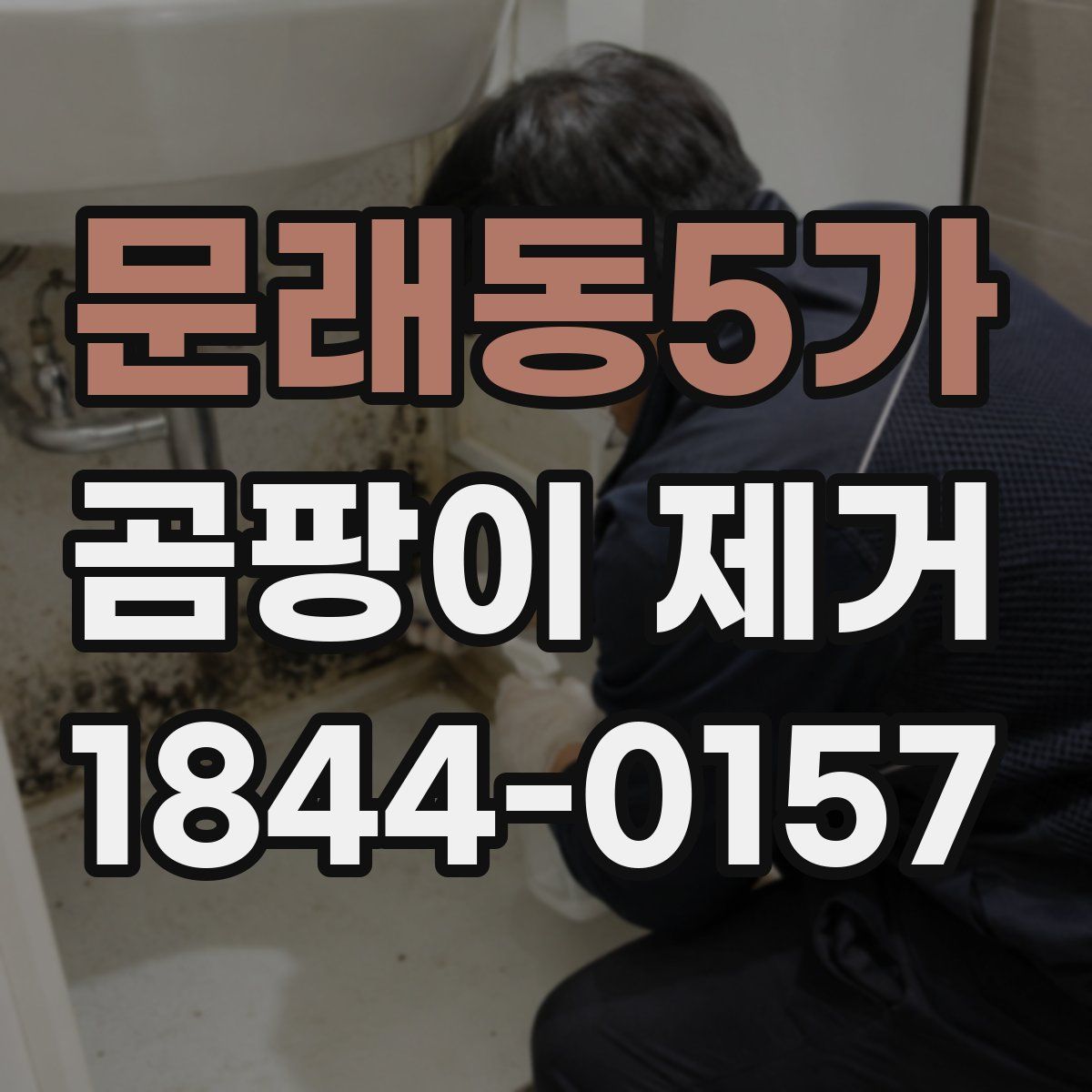 문래동5가 곰팡이 제거