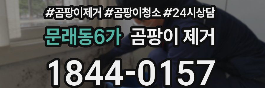 문래동6가 곰팡이 제거