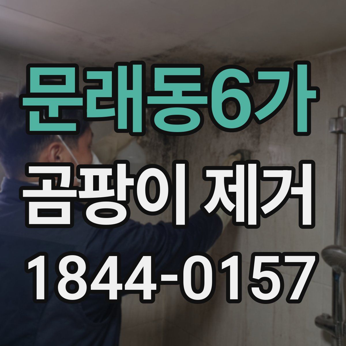 문래동6가 곰팡이 제거