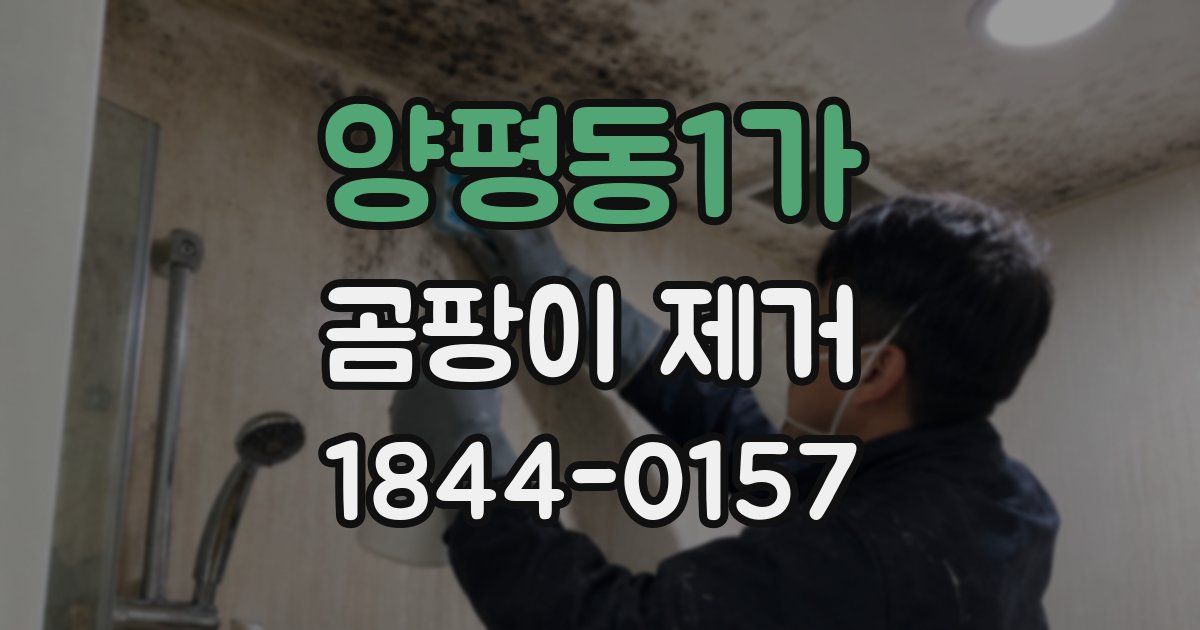 양평동1가 곰팡이 제거