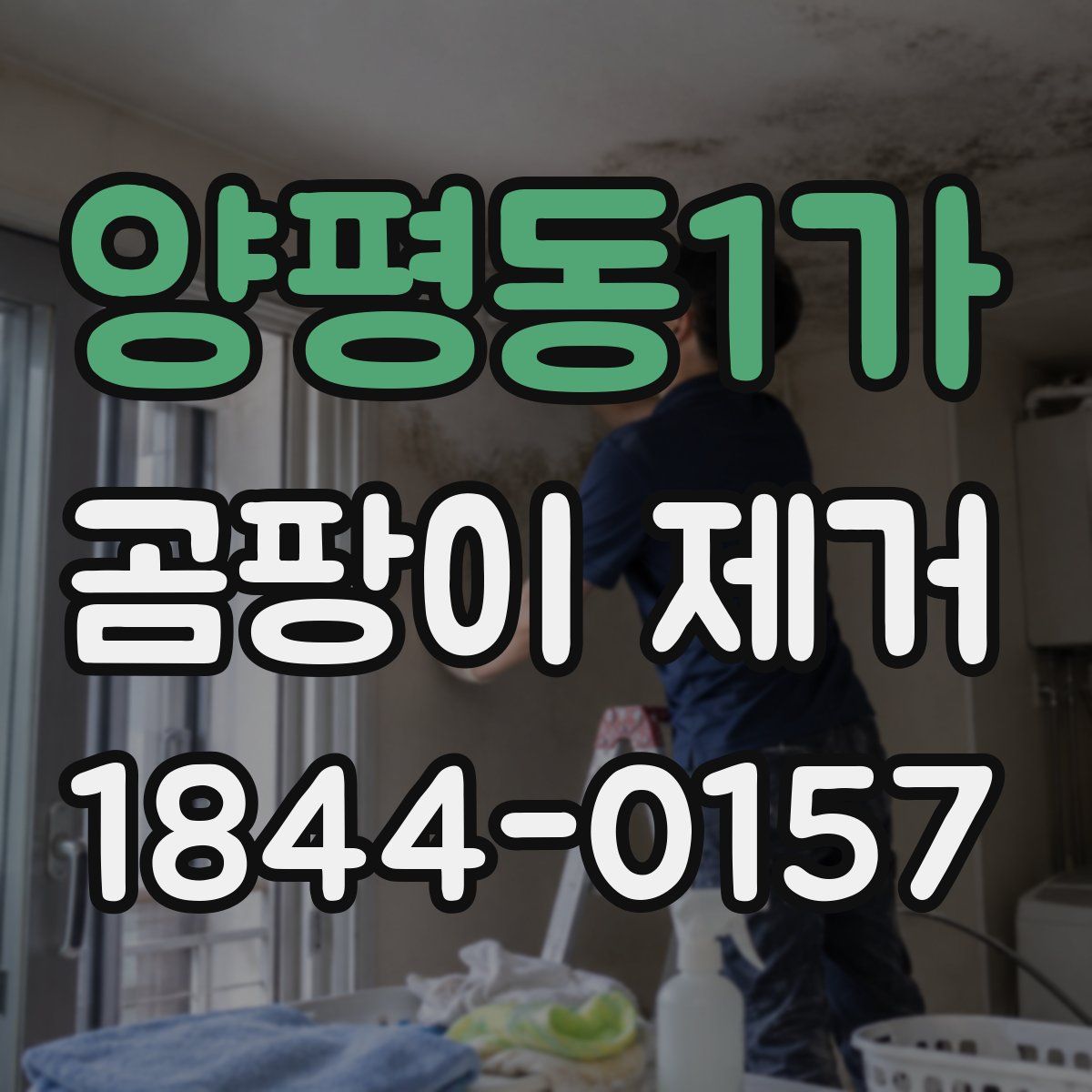 양평동1가 곰팡이 제거