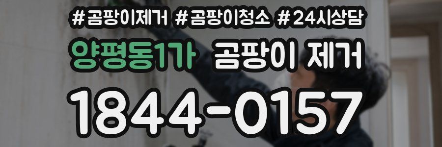양평동1가 곰팡이 제거