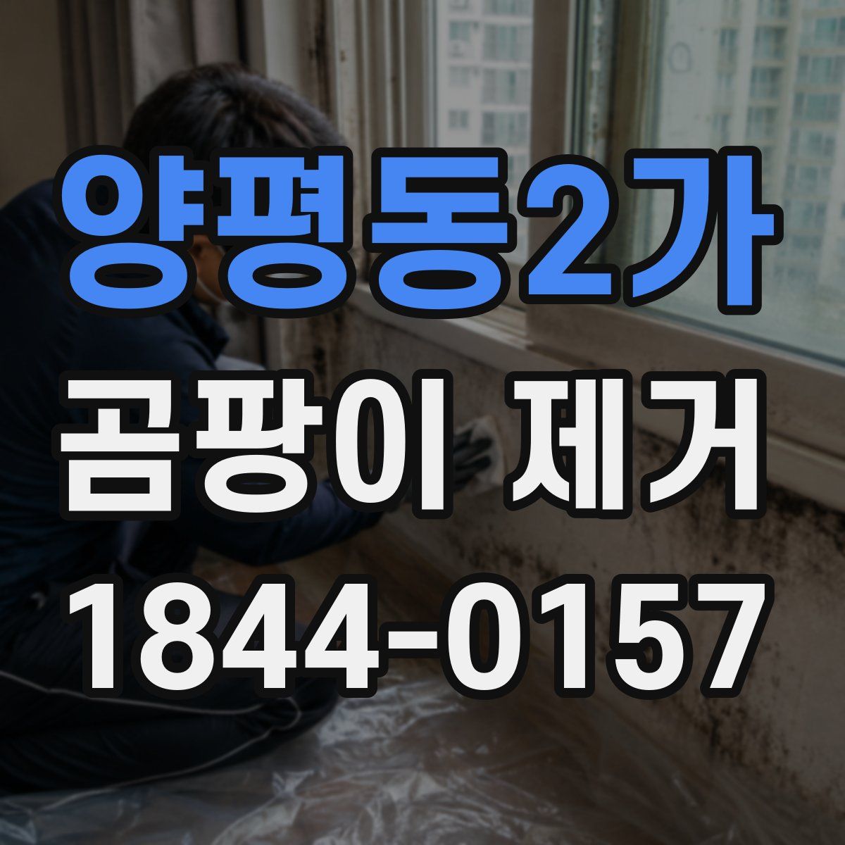 양평동2가 곰팡이 제거