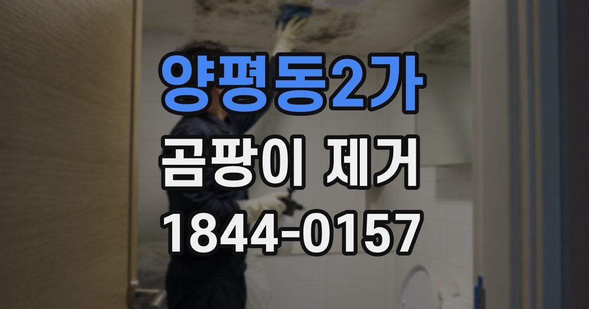 양평동2가 곰팡이 제거