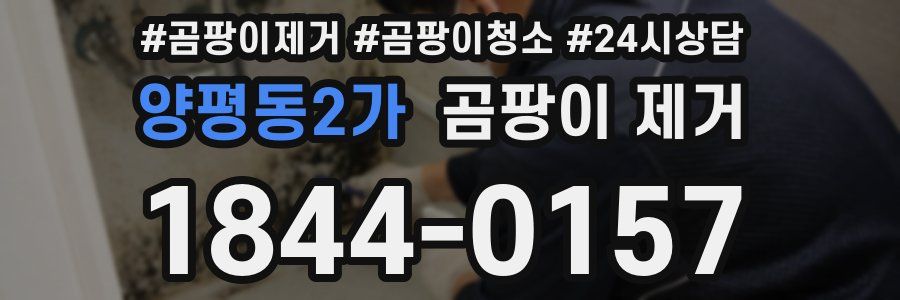 양평동2가 곰팡이 제거